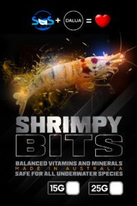 shrimpy bits