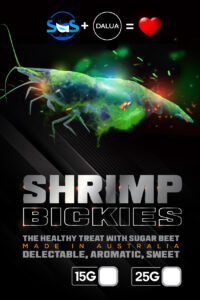 shrimp bickies