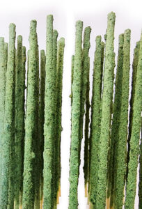green backs