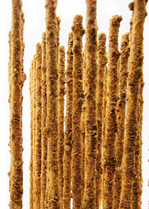 probiotic pops