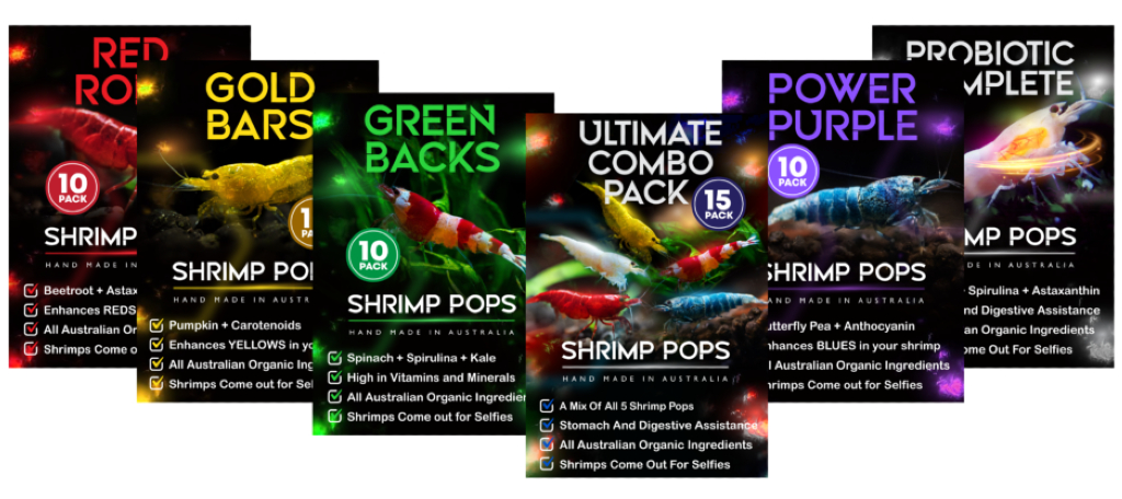 sas shrimp pop
