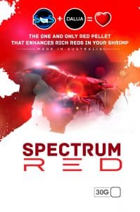 sas spectrum shrimp food