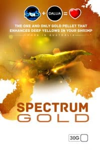 sas spectrum gold dalua